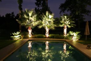 landscape lighting phoenix