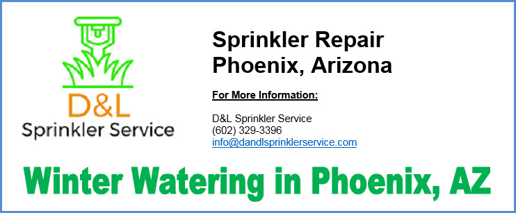 Winter Watering in Phoenix AZ
